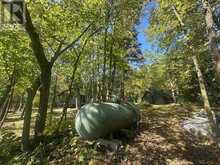 PTS 1,5,6 DORION ISLAND LAKE OF THE WOODS | Kenora Ontario | Slide Image Twenty-nine
