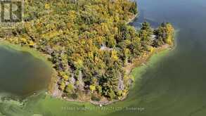 PTS 1,5,6 DORION ISLAND LAKE OF THE WOODS | Kenora Ontario | Slide Image Thirty-two
