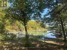 PTS 1,5,6 DORION ISLAND LAKE OF THE WOODS | Kenora Ontario | Slide Image Fifteen