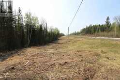 HWY 72 PARCELS 6263 AND 4057 | Kenora Ontario | Slide Image Forty-seven