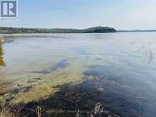 HWY 72 PARCELS 6263 AND 4057 | Kenora Ontario | Slide Image Thirty-one