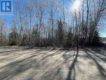 199 LAKEVIEW ROAD | Dryden Ontario | Slide Image Two