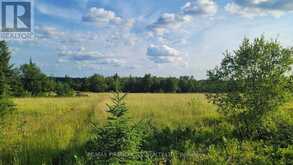0 ASCOUGH ROAD | Kenora Ontario | Slide Image Three