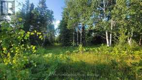 0 ASCOUGH ROAD | Kenora Ontario | Slide Image Eight