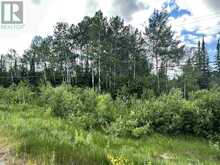 W 1/2 Lt 5 Cantley Drive HWY 11-17 | Thunder Bay Ontario | Slide Image Thirteen
