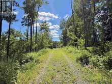 1319 LAURENSON LAKE | Kenora Ontario | Slide Image Ten
