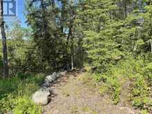 1319 LAURENSON LAKE | Kenora Ontario | Slide Image Four