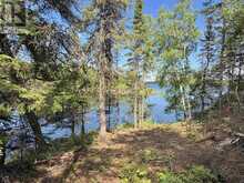 1319 LAURENSON LAKE | Kenora Ontario | Slide Image Six