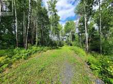 1319 LAURENSON LAKE | Kenora Ontario | Slide Image Eight