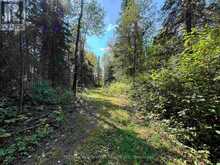 LOT 17,19,20 LAKE OF THE WOODS | Kenora Ontario | Slide Image Ten