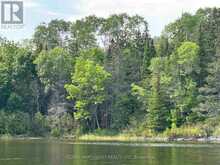 LOT 17,19,20 LAKE OF THE WOODS | Kenora Ontario | Slide Image Four