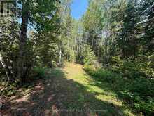 LOT 17,19,20 LAKE OF THE WOODS | Kenora Ontario | Slide Image Six