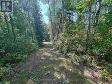 LOT 17,19,20 LAKE OF THE WOODS | Kenora Ontario | Slide Image Seven