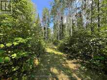 LOT 17,19,20 LAKE OF THE WOODS | Kenora Ontario | Slide Image Eight
