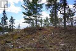 19A MILLER ROAD | Sioux Narrows-Nestor Falls Ontario | Slide Image Thirty