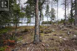 19A MILLER ROAD | Sioux Narrows-Nestor Falls Ontario | Slide Image Thirty-four