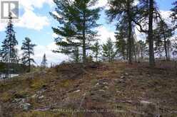 19A MILLER ROAD | Sioux Narrows-Nestor Falls Ontario | Slide Image Twenty-eight