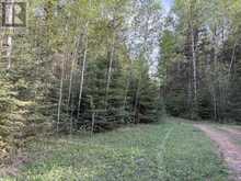 Dorion Land | Thunder Bay Ontario | Slide Image Four