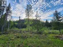 Dorion Land | Thunder Bay Ontario | Slide Image Six