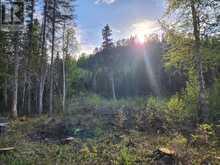 Dorion Land | Thunder Bay Ontario | Slide Image Nine