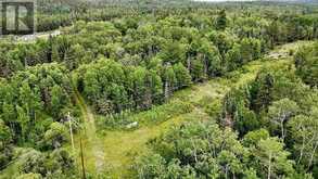 PCL 26070 LONGBOW LAKE ROAD | Kenora Ontario | Slide Image Seventeen