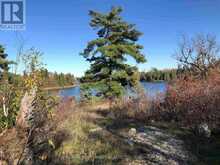 3,9 AND 10 DORION ISLAND LAKE OF THE WOODS | Kenora Ontario | Slide Image Thirteen