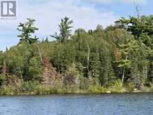 3,9 AND 10 DORION ISLAND LAKE OF THE WOODS | Kenora Ontario | Slide Image Twenty-eight