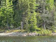 3,9 AND 10 DORION ISLAND LAKE OF THE WOODS | Kenora Ontario | Slide Image Twenty-five
