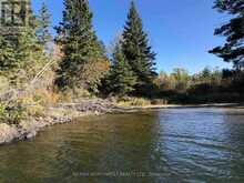 3,9 AND 10 DORION ISLAND LAKE OF THE WOODS | Kenora Ontario | Slide Image Nine