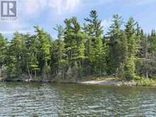 3,9 AND 10 DORION ISLAND LAKE OF THE WOODS | Kenora Ontario | Slide Image Seventeen