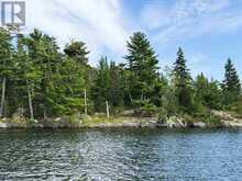 3,9 AND 10 DORION ISLAND LAKE OF THE WOODS | Kenora Ontario | Slide Image Twenty