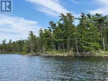 3,9 AND 10 DORION ISLAND LAKE OF THE WOODS | Kenora Ontario | Slide Image Thirty-one