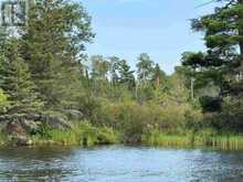 3,9 AND 10 DORION ISLAND LAKE OF THE WOODS | Kenora Ontario | Slide Image Thirty-seven