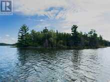 4 AND 11 DORION ISLAND LAKE OF THE WOODS | Kenora Ontario | Slide Image Twelve