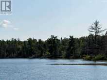 4 AND 11 DORION ISLAND LAKE OF THE WOODS | Kenora Ontario | Slide Image Twenty-three