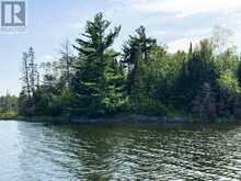 4 AND 11 DORION ISLAND LAKE OF THE WOODS | Kenora Ontario | Slide Image Twenty-one