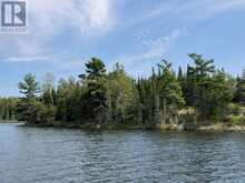 4 AND 11 DORION ISLAND LAKE OF THE WOODS | Kenora Ontario | Slide Image Eleven