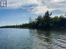 4 AND 11 DORION ISLAND LAKE OF THE WOODS | Kenora Ontario | Slide Image Twenty-two