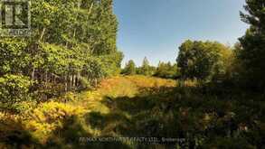 PCL 46-3 GOVERNMENT RD | Rainy River Ontario | Slide Image One