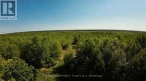 PCL 46-3 GOVERNMENT RD | Rainy River Ontario | Slide Image Seven