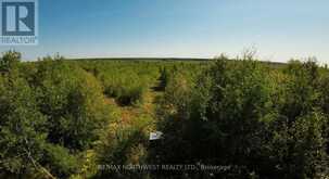 PCL 46-3 GOVERNMENT RD | Rainy River Ontario | Slide Image Nine