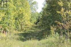 PCL 46-3 GOVERNMENT RD | Rainy River Ontario | Slide Image Sixteen