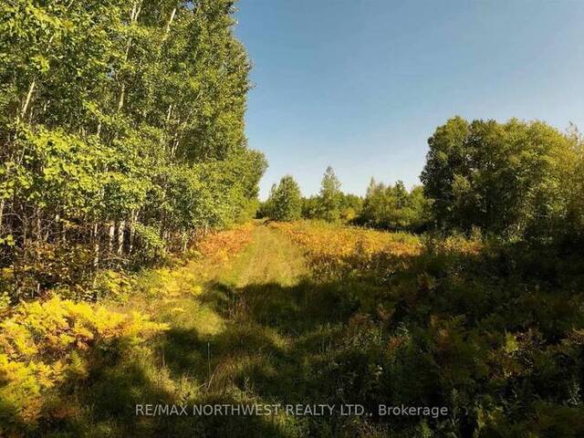 PCL 46-3 GOVERNMENT RD Rainy River Ontario, P0W 1L0 - Vacant Land For Sale