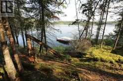 S882 Winnipeg River | Kenora Ontario | Slide Image Twenty-six