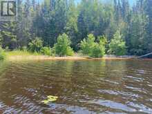 PARCEL 26057 | Rainy River Ontario | Slide Image Two