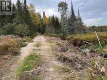 PARCEL 26057 | Rainy River Ontario | Slide Image Sixteen