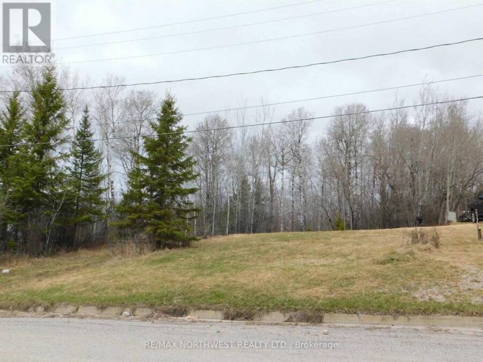 113 THIRD STREET, Dryden, Ontario P8N 2V8