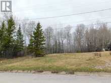 113 THIRD STREET | Dryden Ontario | Slide Image One