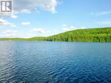 LOT 6 HAWK LAKE ROAD | Kenora Ontario | Slide Image Thirty-four