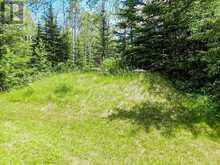 LOT 6 HAWK LAKE ROAD | Kenora Ontario | Slide Image Thirty-nine